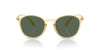 Giorgio Armani AR8233U Honey/Dark Green #colour_honey-dark-green