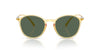 Giorgio Armani AR8233U Honey/Dark Green #colour_honey-dark-green