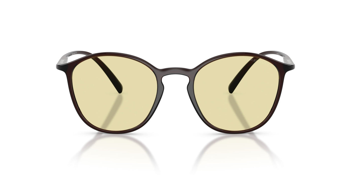 Giorgio Armani AR8233U Brown/Brown Photochromatic #colour_brown-brown-photochromatic