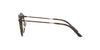 Giorgio Armani AR318M Dark Tortoise #colour_dark-tortoise