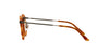 Giorgio Armani AR318M Brown Tortoise #colour_brown-tortoise