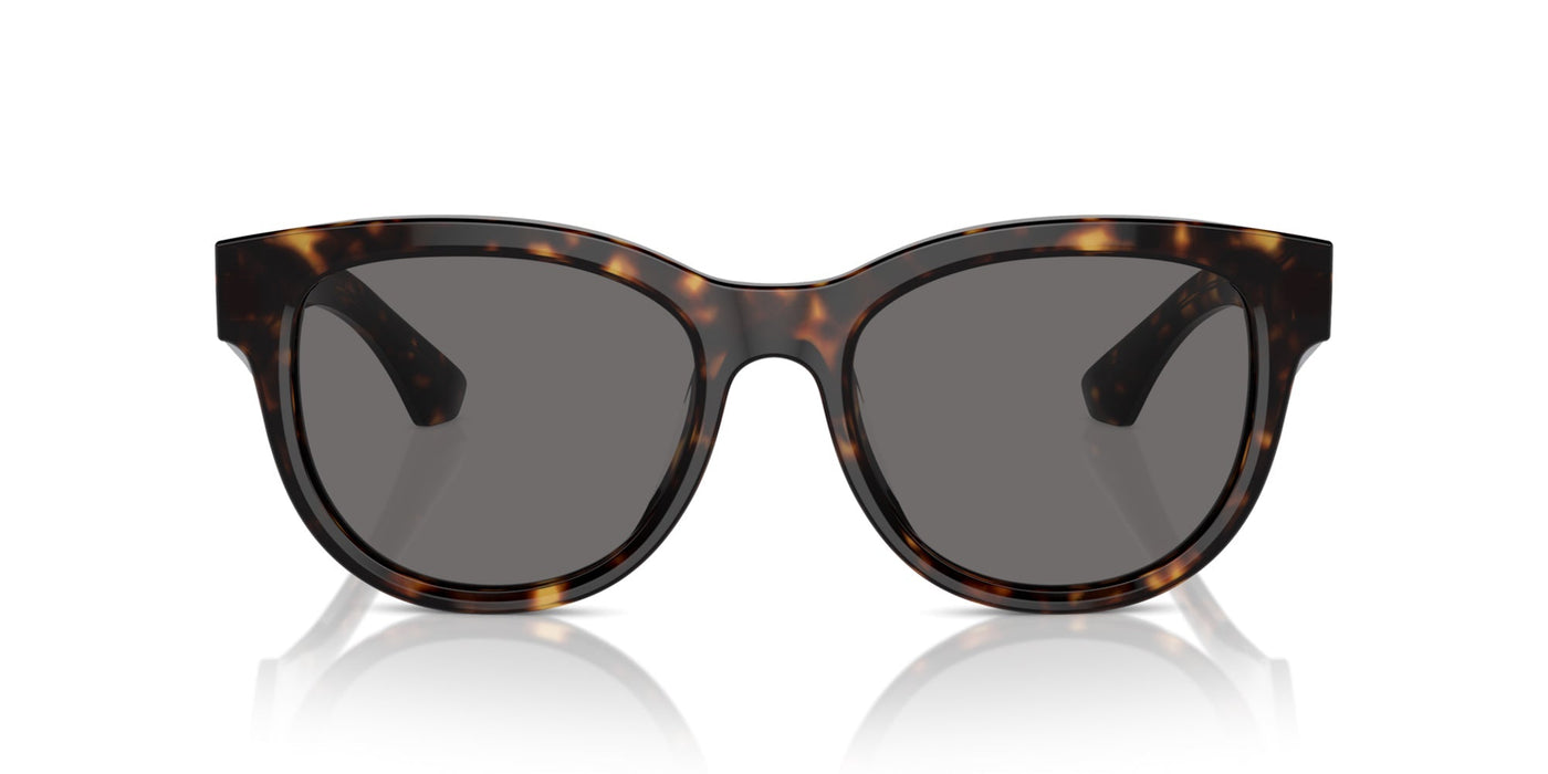 Burberry BE4432U Dark Havana/Dark Grey Polarised #colour_dark-havana-dark-grey-polarised