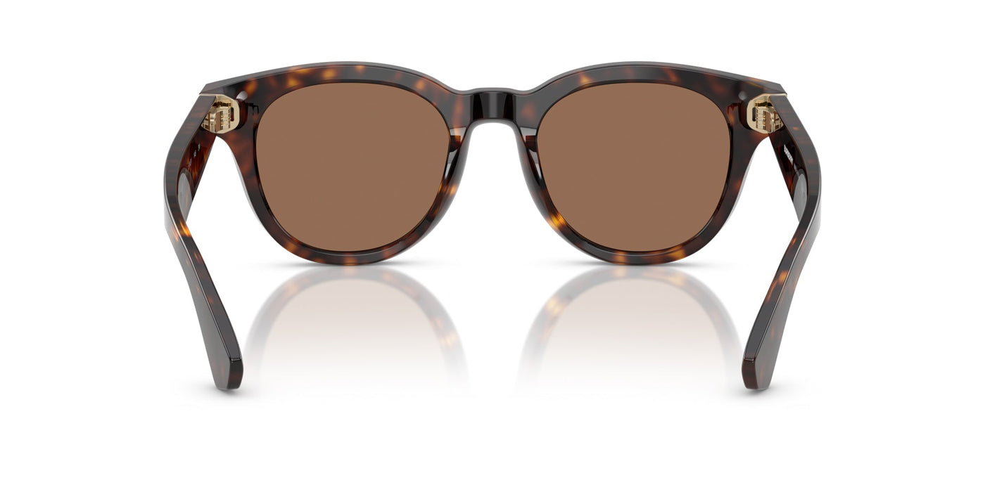 Burberry BE4439 Dark Havana/Dark Brown #colour_dark-havana-dark-brown