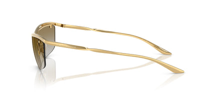 Dolce&Gabbana DG2307 Gold/Light Brown Gold Mirror #colour_gold-light-brown-gold-mirror