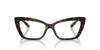 Dolce&Gabbana DG3375B Havana #colour_havana