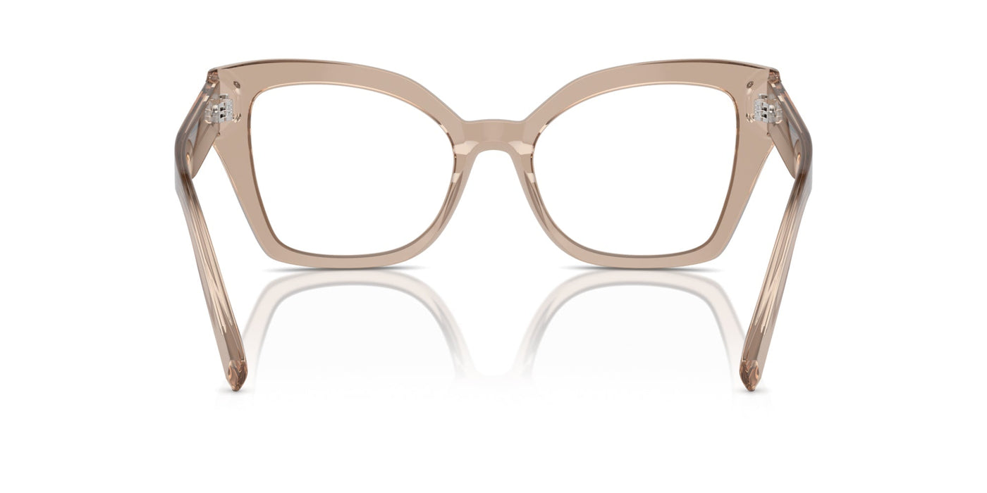 Dolce&Gabbana DG3386 Transparent Camel #colour_transparent-camel