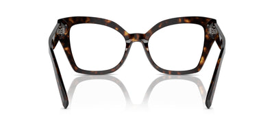 Dolce&Gabbana DG3386 Havana #colour_havana