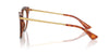 Dolce&Gabbana DG3392 Havana Leo #colour_havana-leo