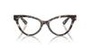 Dolce&Gabbana DG3394 Havana Brown Pearl #colour_havana-brown-pearl