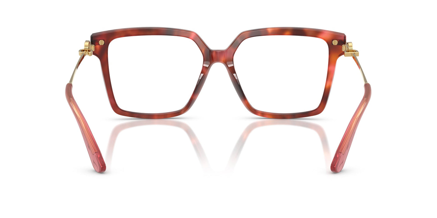 Dolce&Gabbana DG3397 Havana Brown #colour_havana-brown