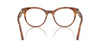 Dolce&Gabbana DG3399 Havana Leo #colour_havana-leo