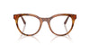 Dolce&Gabbana DG3399 Havana Leo #colour_havana-leo