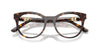 Dolce&Gabbana DG3399 Havana #colour_havana