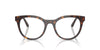 Dolce&Gabbana DG3399 Havana #colour_havana