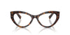 Dolce&Gabbana DG3403 Havana #colour_havana