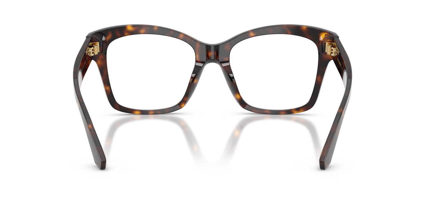 Dolce&Gabbana DG3419 Havana #colour_havana