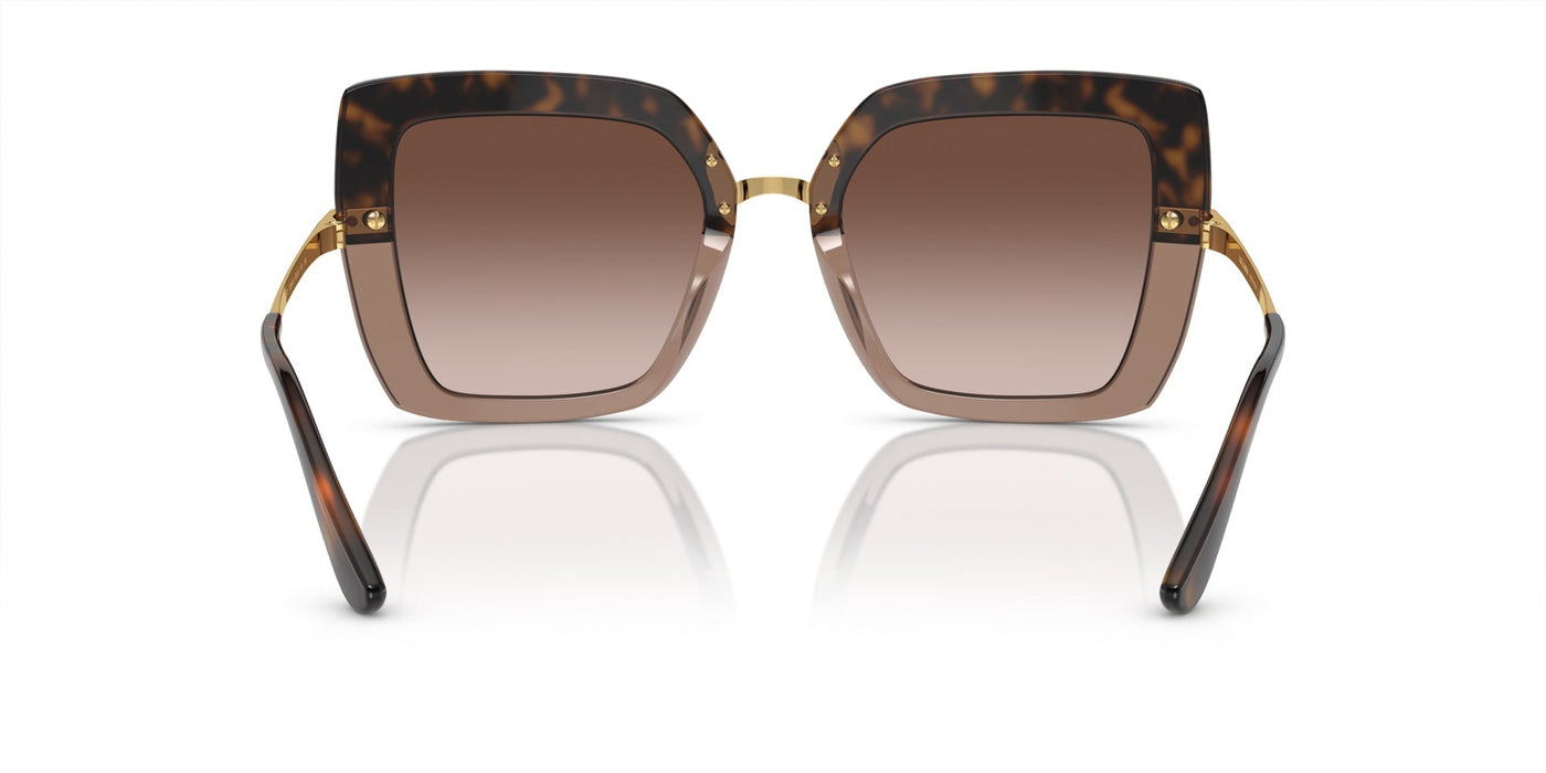 Dolce&Gabbana DG4373 Havana On Transparent Brown/Brown Gradient #colour_havana-on-transparent-brown-brown-gradient