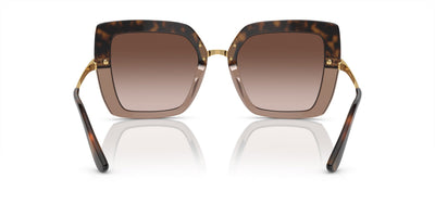 Dolce&Gabbana DG4373 Havana On Transparent Brown/Brown Gradient #colour_havana-on-transparent-brown-brown-gradient