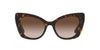 Dolce&Gabbana DG4405 Havana/Gradient Brown #colour_havana-gradient-brown