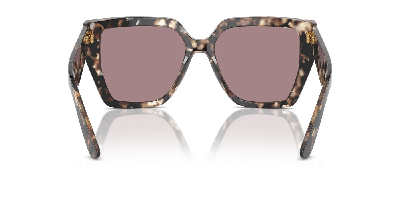 Dolce&Gabbana DG4438 Havana Brown Pearl/Light Purple Brown #colour_havana-brown-pearl-light-purple-brown