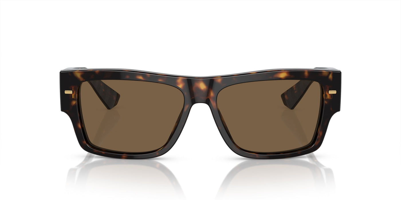 Dolce&Gabbana DG4451 Havana/Dark Brown #colour_havana-dark-brown