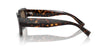 Dolce&Gabbana DG4460 Havana/Dark Brown #colour_havana-dark-brown