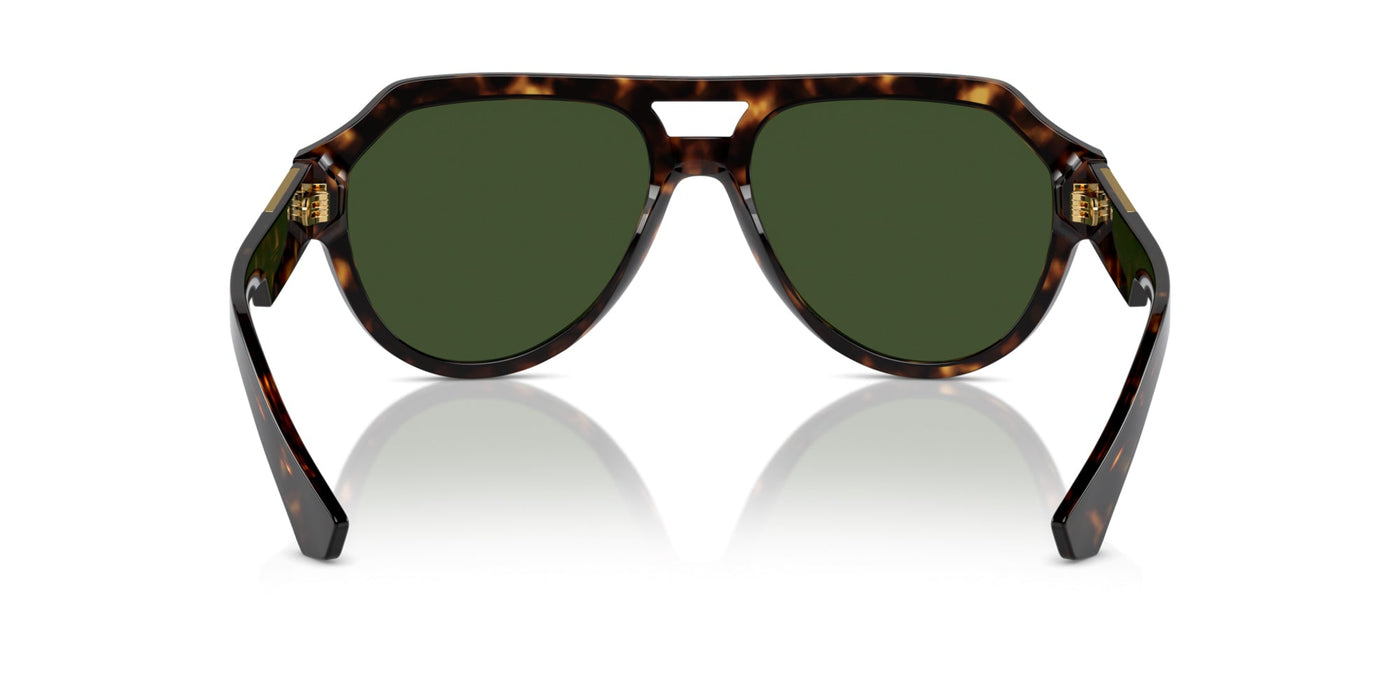 Dolce&Gabbana DG4466 Havana/Dark Green #colour_havana-dark-green