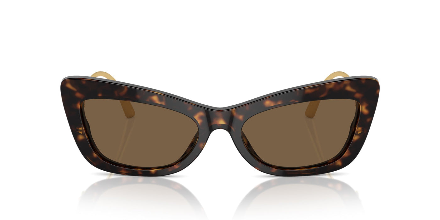 Dolce&Gabbana DG4467B Havana/Dark Brown #colour_havana-dark-brown