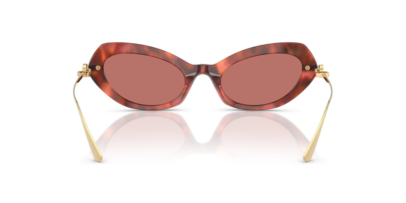 Dolce&Gabbana DG4473 Havana Brown/Dark Violet #colour_havana-brown-dark-violet