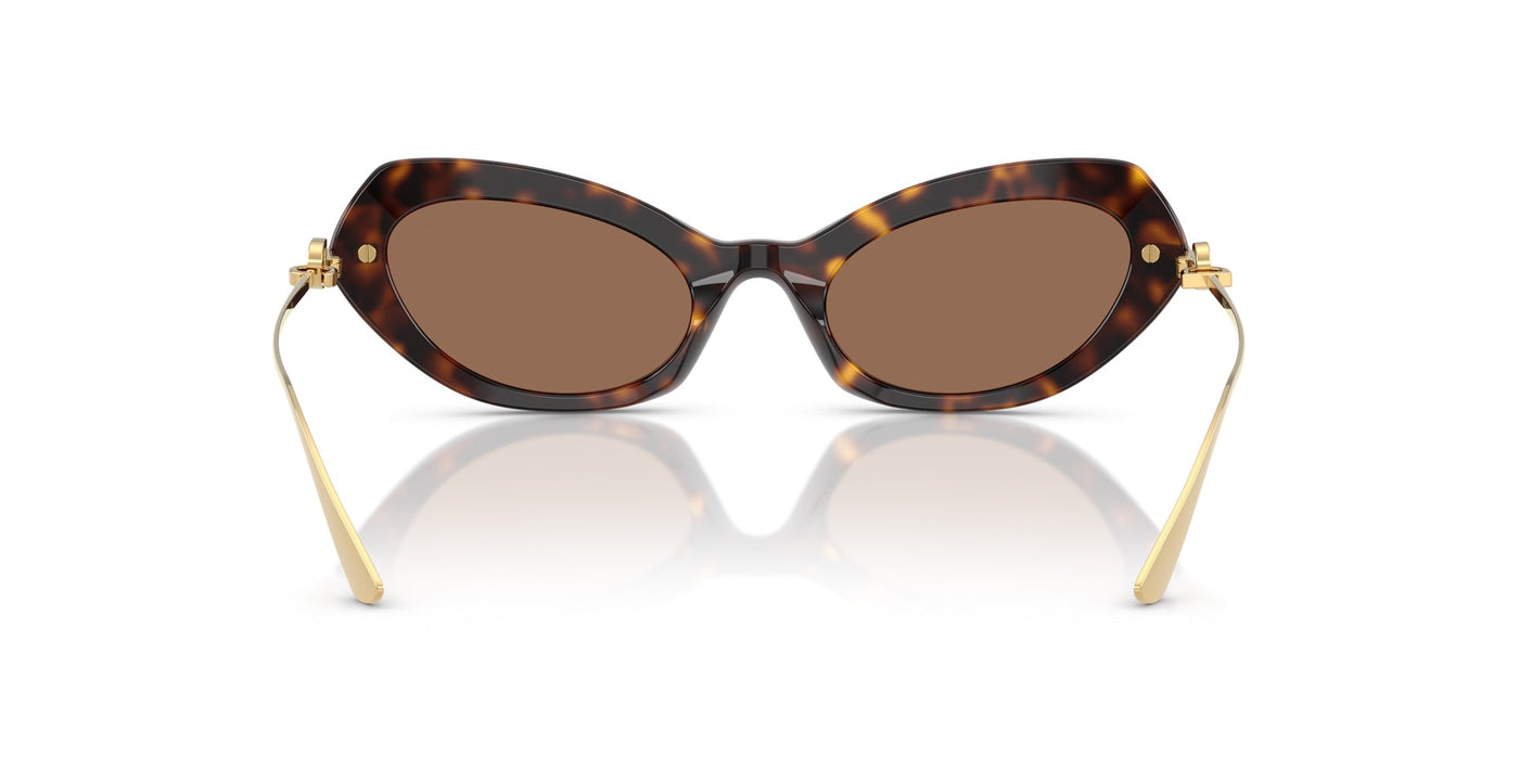 Dolce&Gabbana DG4473 Havana/Dark Brown #colour_havana-dark-brown