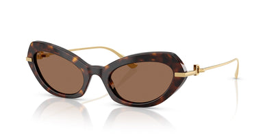 Dolce&Gabbana DG4473 Havana/Dark Brown #colour_havana-dark-brown