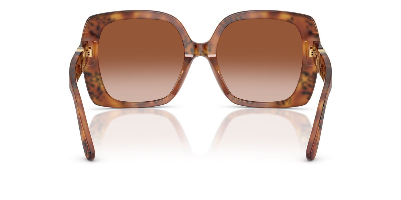 Dolce&Gabbana DG4475 Havana Leo/Brown Gradient #colour_havana-leo-brown-gradient