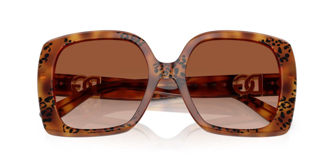 Dolce&Gabbana DG4475 Havana Leo/Brown Gradient #colour_havana-leo-brown-gradient