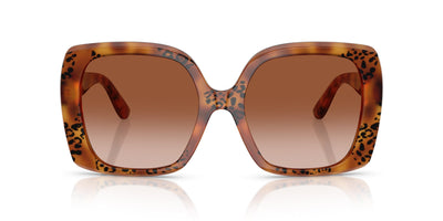 Dolce&Gabbana DG4475 Havana Leo/Brown Gradient #colour_havana-leo-brown-gradient