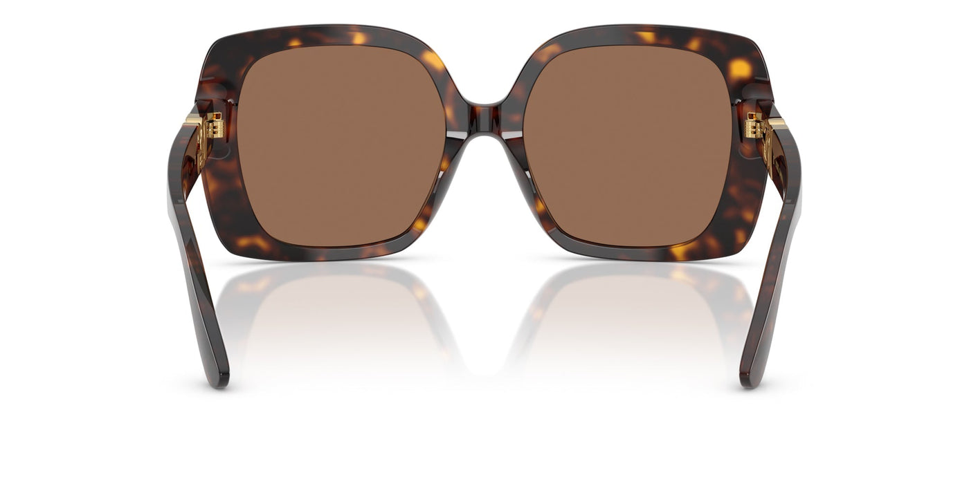 Dolce&Gabbana DG4475 Havana/Dark Brown #colour_havana-dark-brown