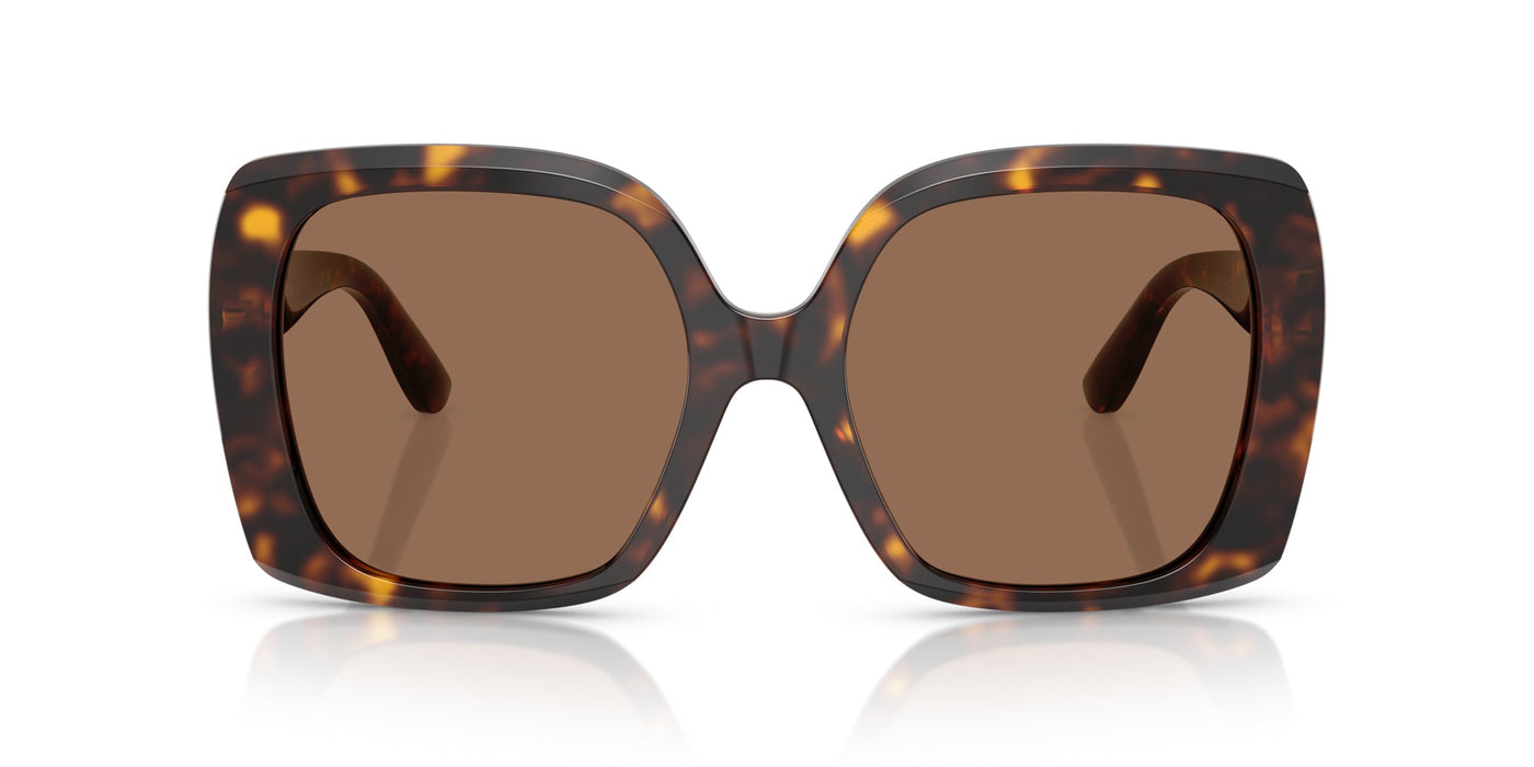 Dolce&Gabbana DG4475 Havana/Dark Brown #colour_havana-dark-brown