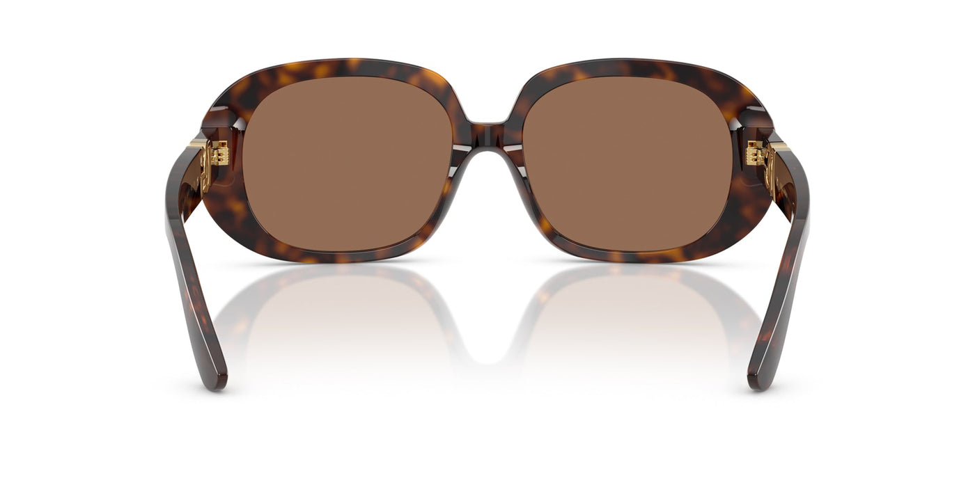 Dolce&Gabbana DG4476 Havana/Dark Brown #colour_havana-dark-brown