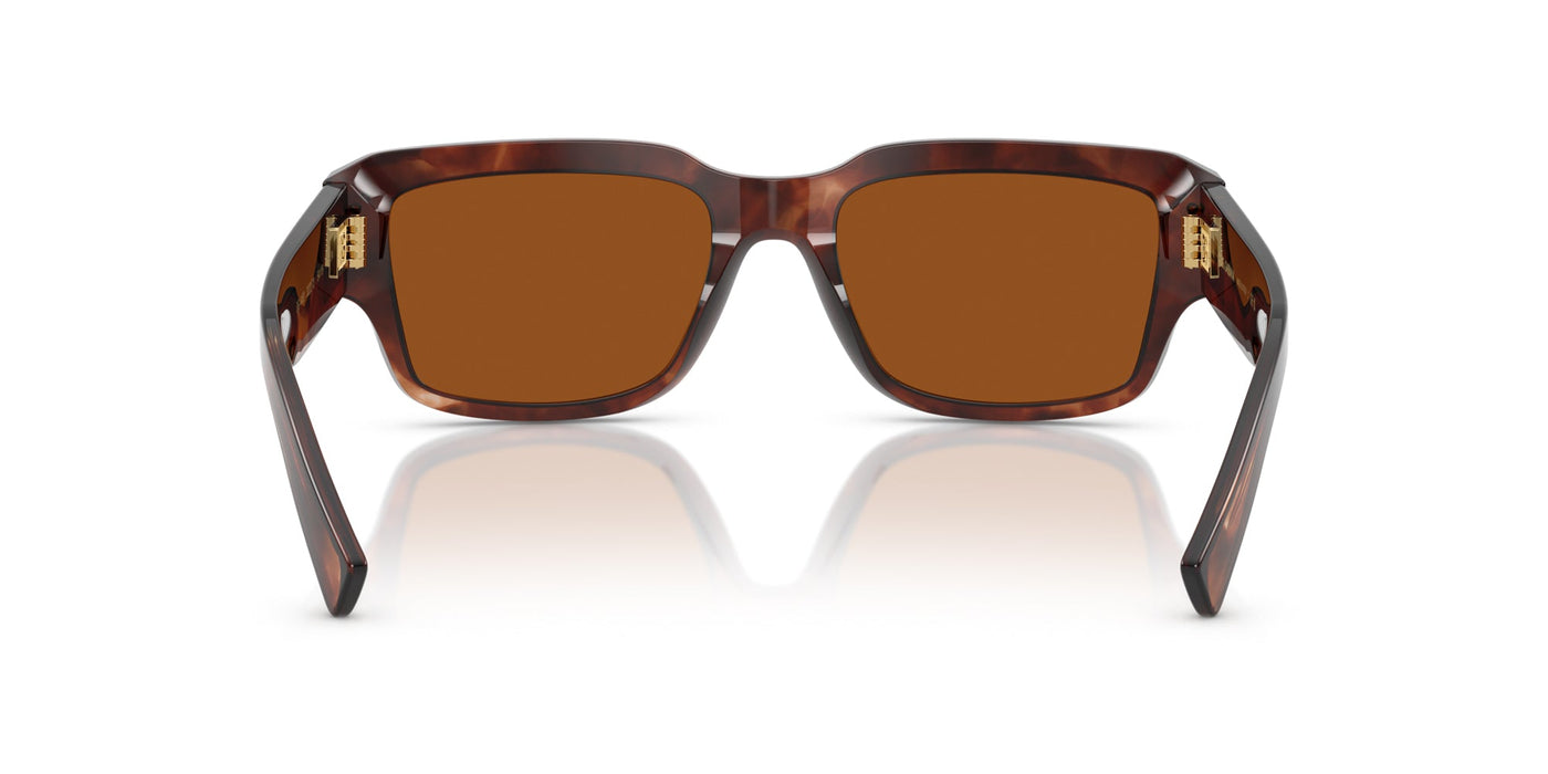 Dolce&Gabbana DG4483 Dark Red Havana/Dark Brown #colour_dark-red-havana-dark-brown