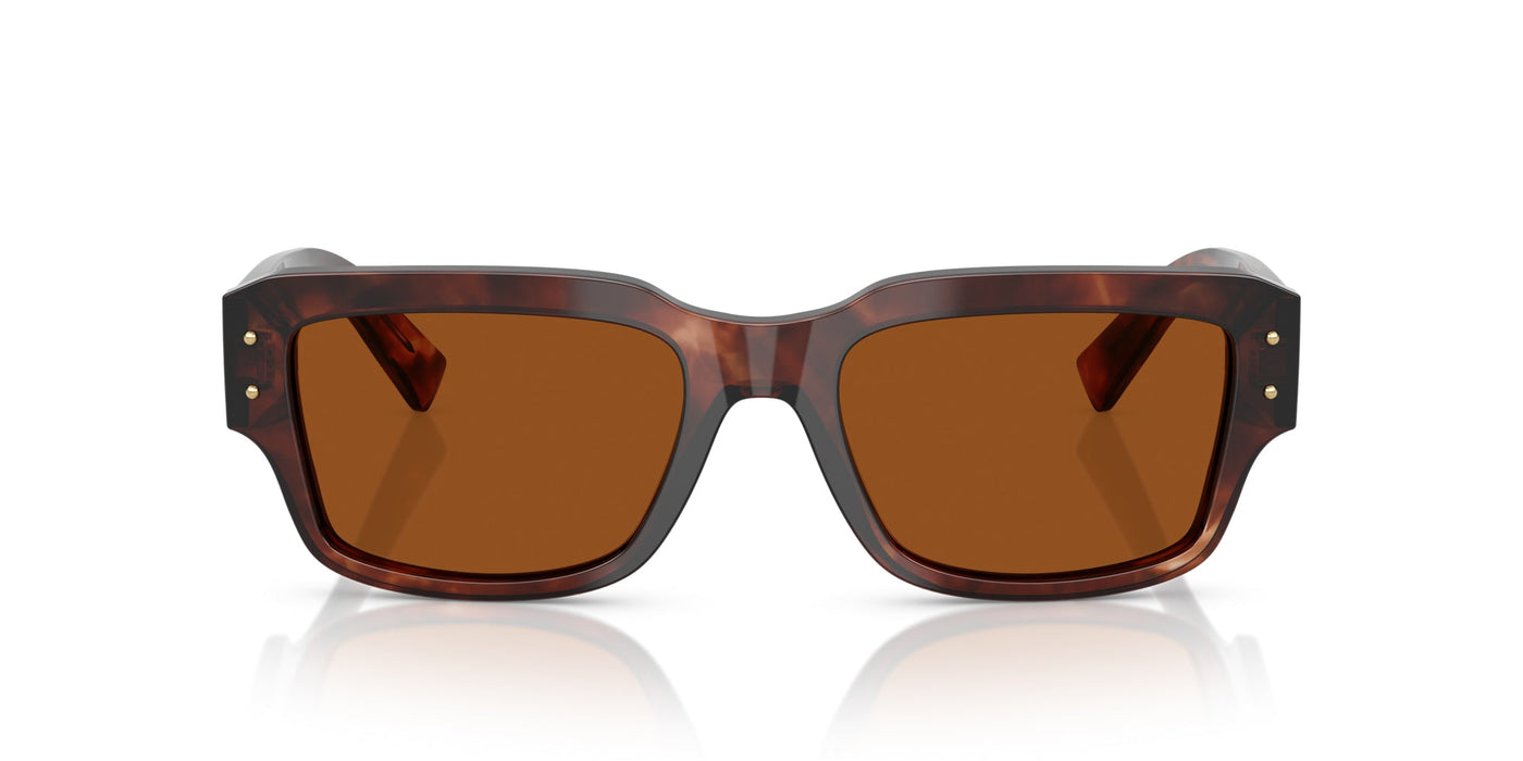 Dolce&Gabbana DG4483 Dark Red Havana/Dark Brown #colour_dark-red-havana-dark-brown