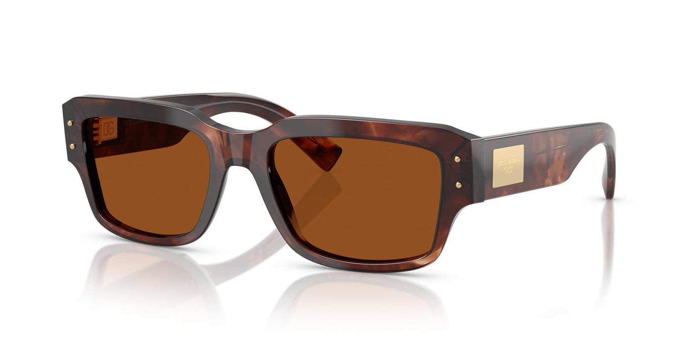 Dolce&Gabbana DG4483 Dark Red Havana/Dark Brown #colour_dark-red-havana-dark-brown