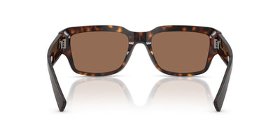 Dolce&Gabbana DG4483 Havana/Dark Brown #colour_havana-dark-brown