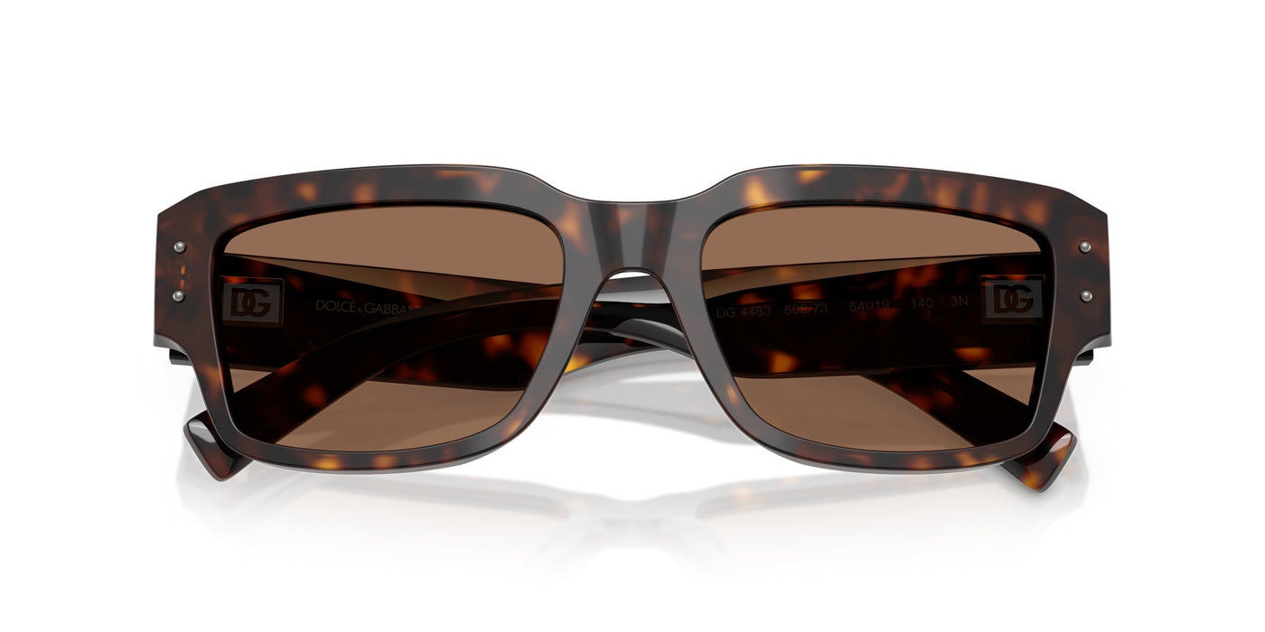 Dolce&Gabbana DG4483 Havana/Dark Brown #colour_havana-dark-brown