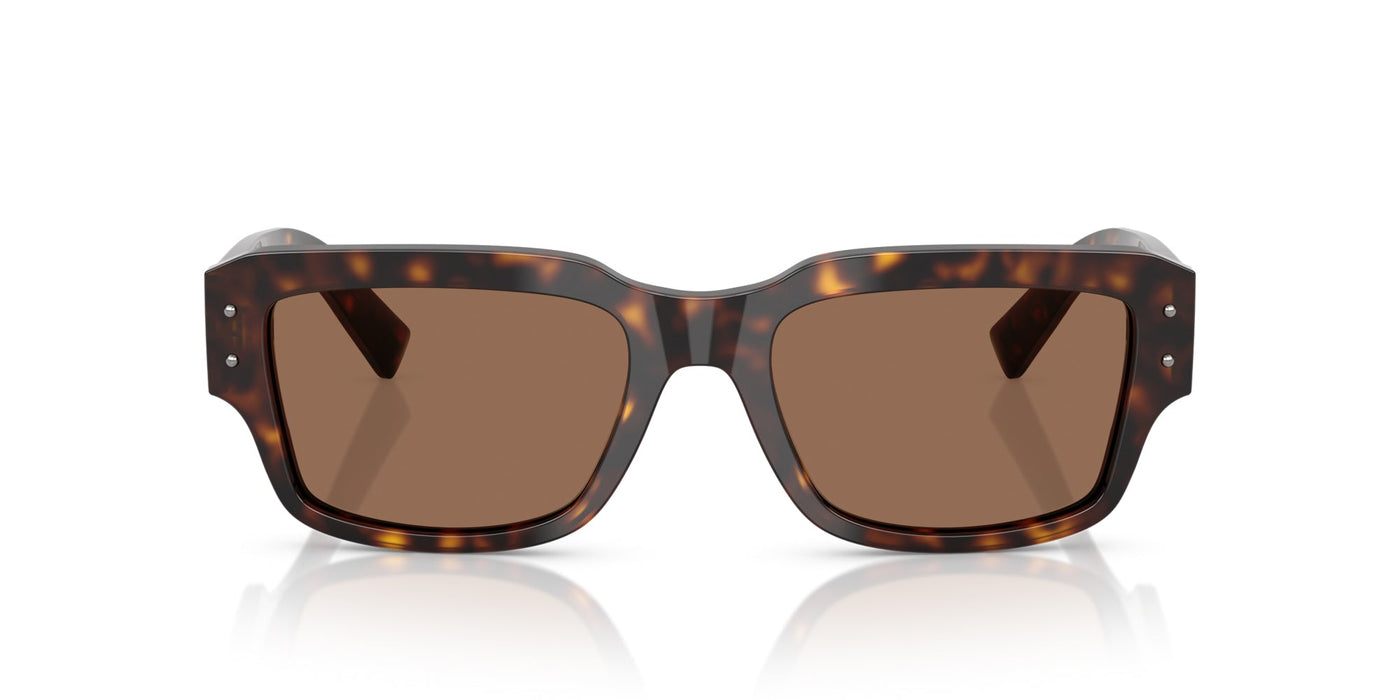 Dolce&Gabbana DG4483 Havana/Dark Brown #colour_havana-dark-brown