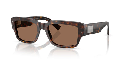 Dolce&Gabbana DG4483 Havana/Dark Brown #colour_havana-dark-brown