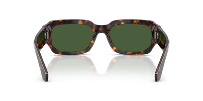 Dolce&Gabbana DG4485 Havana/Dark Green #colour_havana-dark-green