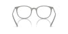 Emporio Armani EA3168 Shiny Grey #colour_shiny-grey