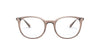 Emporio Armani EA3168 Shiny Transparent Tundra #colour_shiny-transparent-tundra