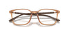 Emporio Armani EA3242U Shiny Transparent Brown #colour_shiny-transparent-brown