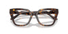 Emporio Armani EA3267U Shiny Havana #colour_shiny-havana