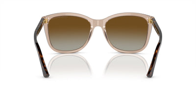 Emporio Armani EA4060 Transparent Tundra/Brown Gradient Polarised #colour_transparent-tundra-brown-gradient-polarised